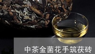 中茶金菌花手筑茯砖/2023032150415