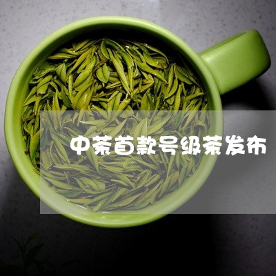 中茶首款号级茶发布/2023032177572