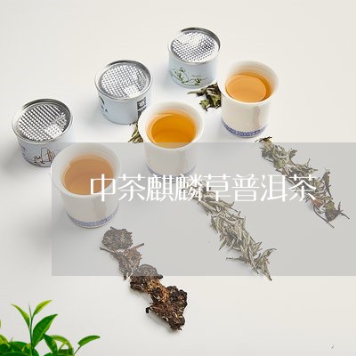 中茶麒麟草普洱茶/2023041105050