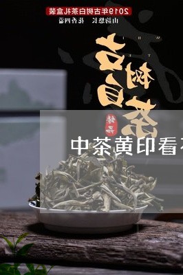 中茶黄印看不到年份/2023041724131