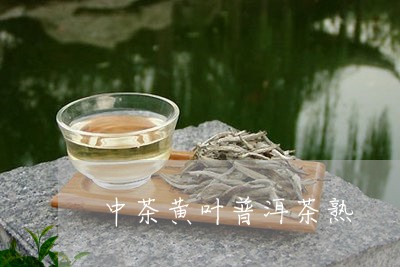 中茶黄叶普洱茶熟/2023032962725