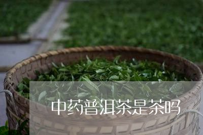 中药普洱茶是茶吗/2023041109372