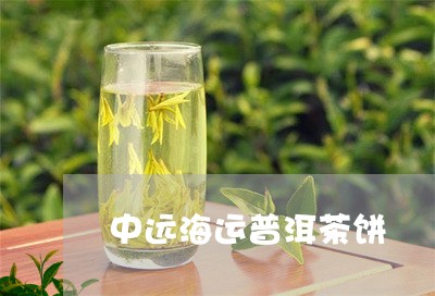 中远海运普洱茶饼/2023040174938