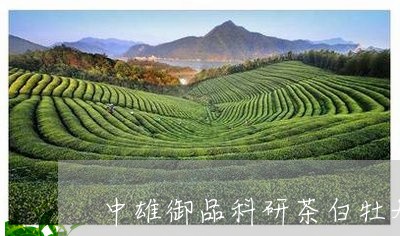 中雄御品科研茶白牡丹价格/2023033116694