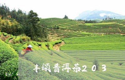 丰颂普洱茶203/2023041090804