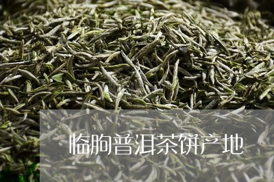 临朐普洱茶饼产地/2023041268381