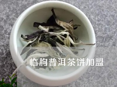 临朐普洱茶饼加盟/2023032989503