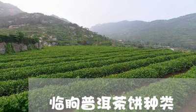 临朐普洱茶饼种类/2023041240581