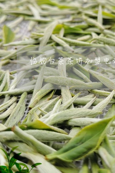 临朐白茶茶饼加盟电话多少/2023033187379