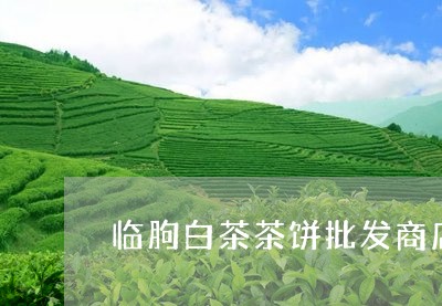 临朐白茶茶饼批发商店电话/2023033126150