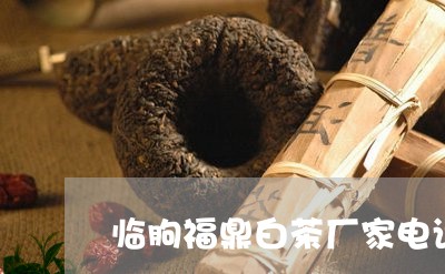 临朐福鼎白茶厂家电话多少/2023033191925