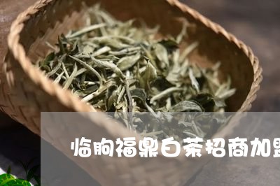 临朐福鼎白茶招商加盟电话/2023033175048