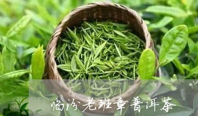 临汾老班章普洱茶/2023041233930