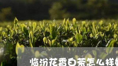 临汾花香白茶怎么样好喝吗/2023033125350