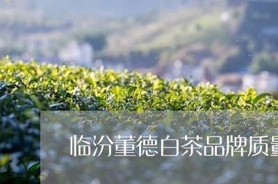 临汾董德白茶品牌质量怎样/2023033161681