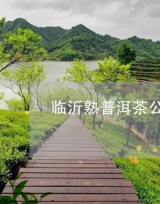 临沂熟普洱茶公司/2023041245250