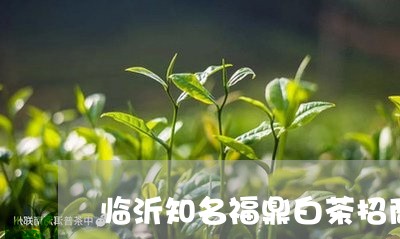 临沂知名福鼎白茶招商电话/2023033128513