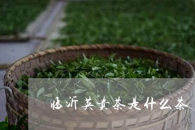 临沂英贵茶是什么茶/2023041570826