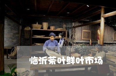 临沂茶叶鲜叶市场/2023032636251