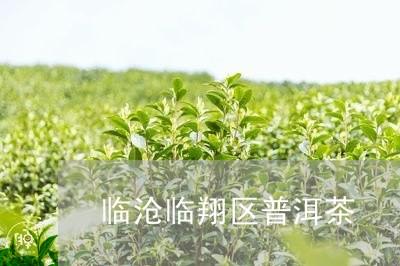 临沧临翔区普洱茶/2023041038379