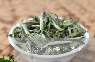 临沧什么普洱茶好/2023031671606