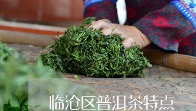 临沧区普洱茶特点/2023031771795