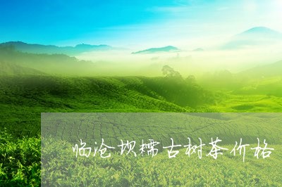 临沧坝糯古树茶价格/2023032125391