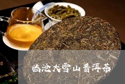 临沧大雪山普洱茶/2023031794936