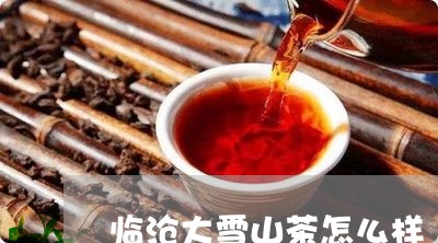 临沧大雪山茶怎么样/2023041483927