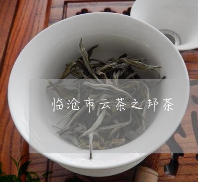 临沧市云茶之邦茶/2023032577157