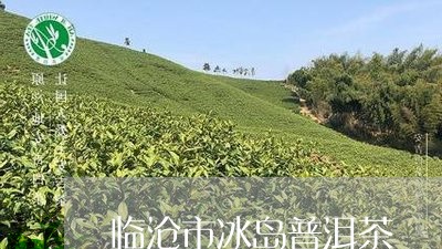 临沧市冰岛普洱茶/2023031764949