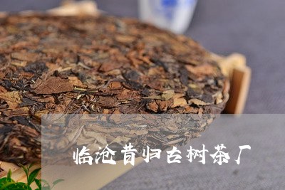 临沧昔归古树茶厂/2023032383141