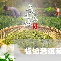 临沧普洱茶主要有/2023031642635