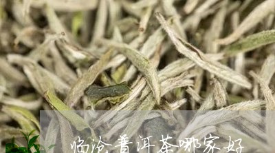 临沧普洱茶哪家好/2023041224938