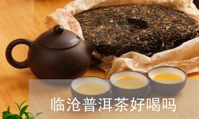 临沧普洱茶好喝吗/2023040950704