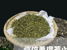 临沧普洱茶小众吗/2023041300736