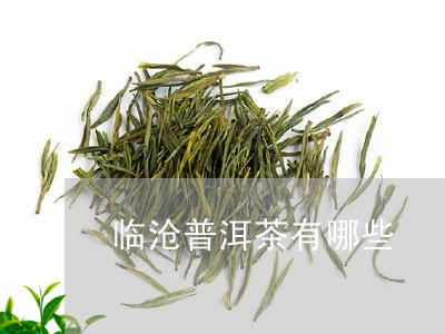 临沧普洱茶有哪些/2023041346159