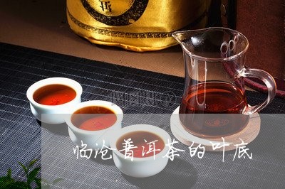 临沧普洱茶的叶底/2023040196049