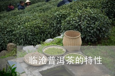 临沧普洱茶的特性/2023041188481