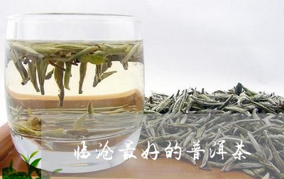 临沧最好的普洱茶/2023041024046