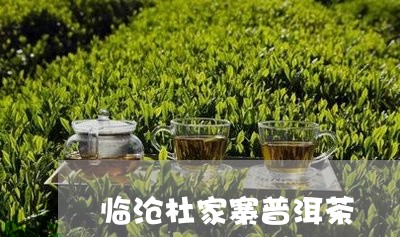 临沧杜家寨普洱茶/2023031882723