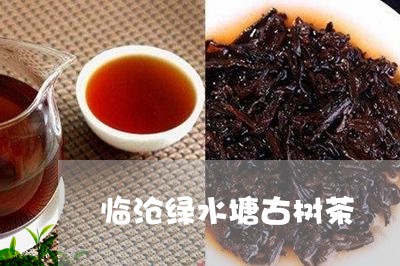 临沧绿水塘古树茶/2023032663949