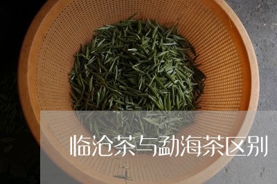 临沧茶与勐海茶区别/2023032208370