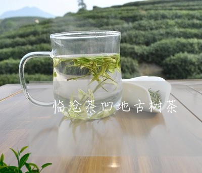 临沧茶凹地古树茶/2023032649360