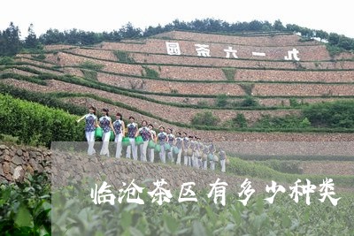 临沧茶区有多少种类/2023032264168