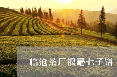 临沧茶厂银毫七子饼/2023041603137