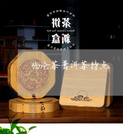 临沧茶普洱茶特点/2023031760503