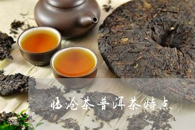 临沧茶普洱茶特点/2023041227625