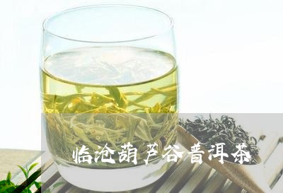 临沧葫芦谷普洱茶/2023040952827