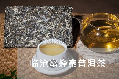 临沧蜜蜂寨普洱茶/2023041182713